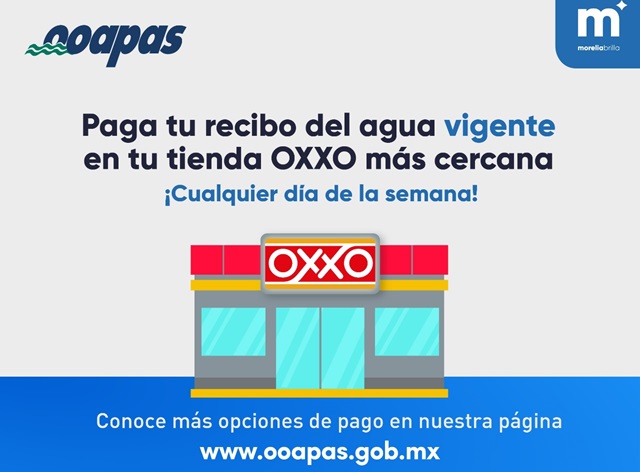 Imagen de WhatsApp 2024-02-29 a las 15.15.17_3cfbd90c