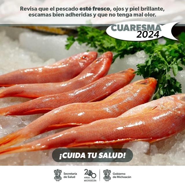 Imagen de WhatsApp 2024-03-29 a las 09.33.12_d1d019f0