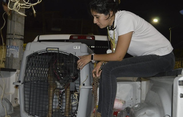 7ebad020-e597-75d4-63df-5d6ab7884dda