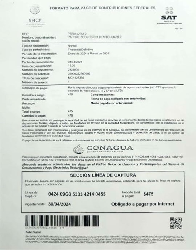 Imagen de WhatsApp 2024-04-12 a las 12.39.05_563007a6