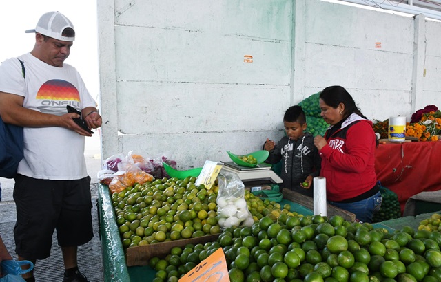 Imagen de WhatsApp 2024-06-04 a las 13.49.54_6943f865