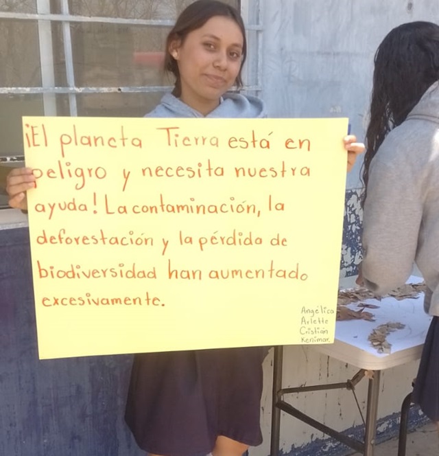 Imagen de WhatsApp 2024-06-05 a las 12.31.21_e04d3c41