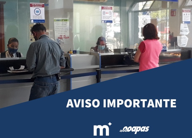 Imagen de WhatsApp 2024-06-26 a las 15.36.17_cfbb3375