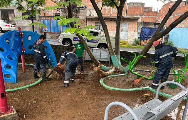 Imagen de WhatsApp 2024-06-29 a las 12.37.52_c2ab04c6