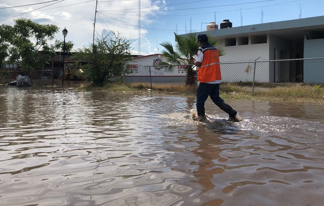 Imagen de WhatsApp 2024-07-25 a las 14.42.58_3b3db322