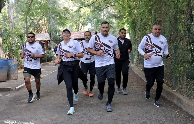 Imagen de WhatsApp 2024-10-27 a las 12.47.17_a1b4a8bc