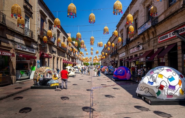 Imagen de WhatsApp 2024-10-29 a las 13.51.05_3714c61e