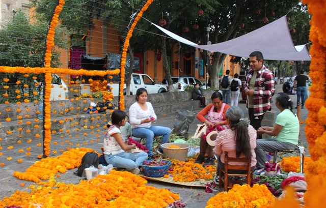 Imagen de WhatsApp 2024-10-30 a las 15.57.48_6baae102