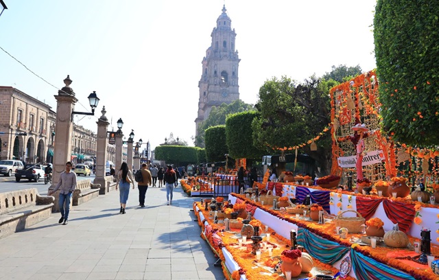 Imagen de WhatsApp 2024-10-31 a las 07.37.40_8198b6e0