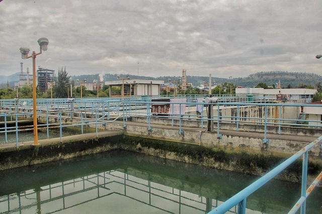 WhatsApp Image 2025-06-18 at 2.12.48 PM