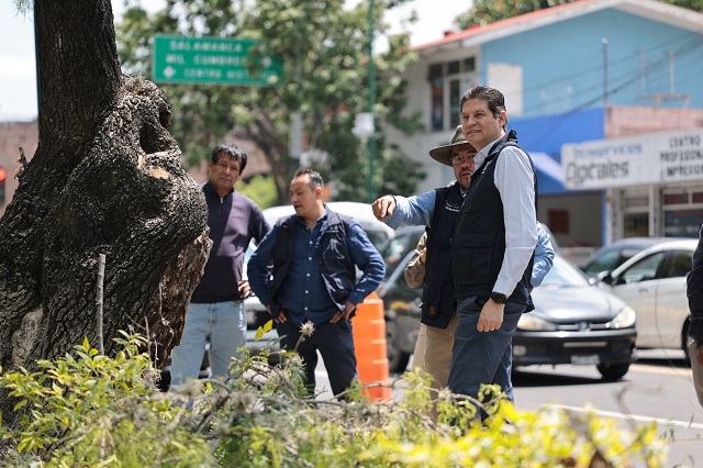 WhatsApp Image 2025-06-19 at 12.05.52 PM