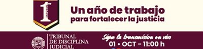 Informe TDJ_336x100